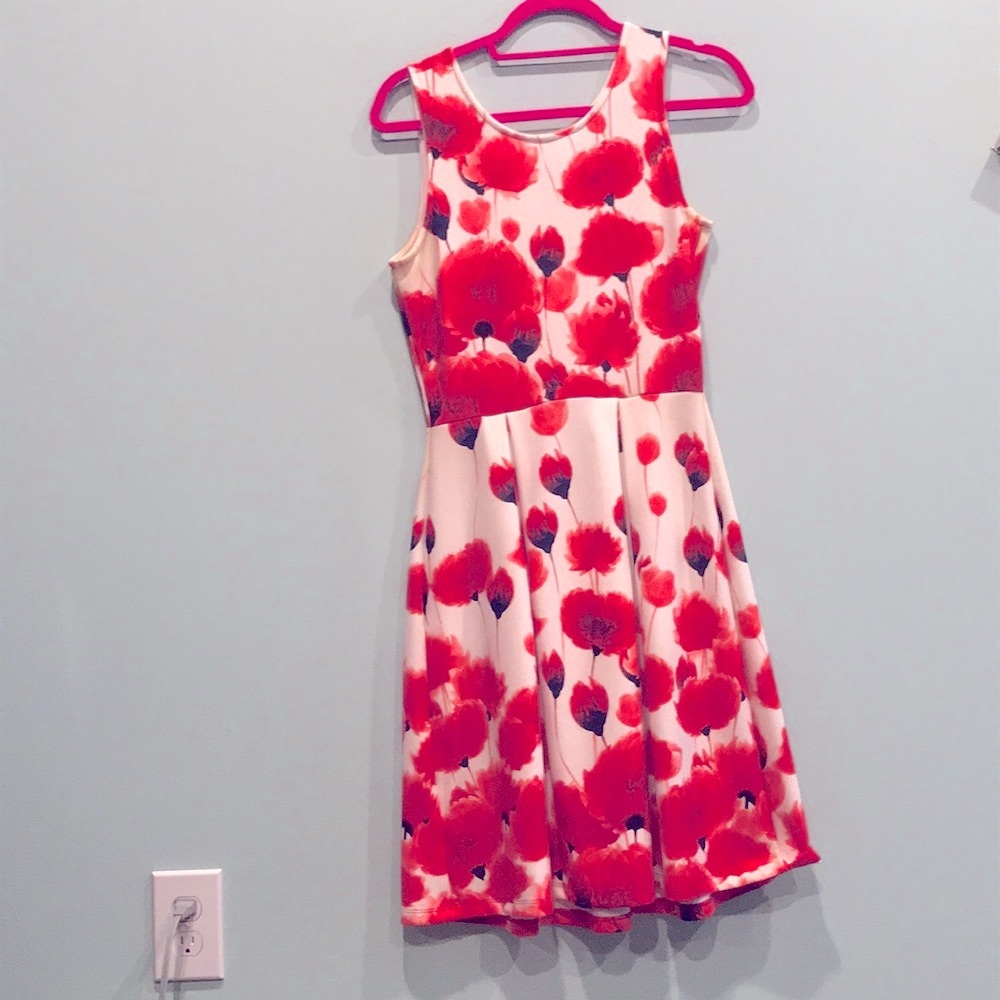 Gilli red poppy print dress